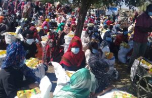 Confronting a Crisis in Ethiopia, A Brand-New Nonprofit Finds Its Feet