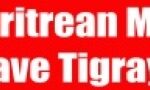 Eritrean Military must Leave 728