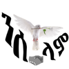 logo_video_nselam_200